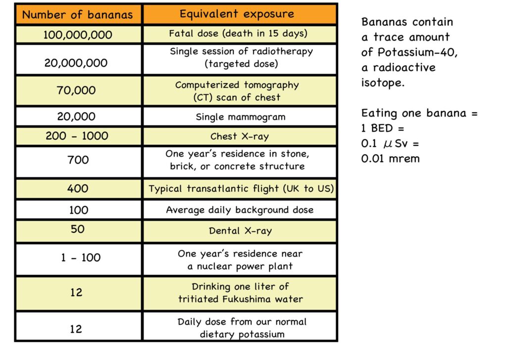 Fig. 6: Banana Equivalency Table